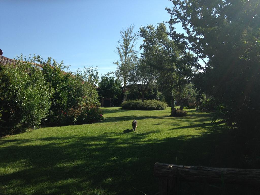 Le Palazze B&B Chiusi Exterior foto