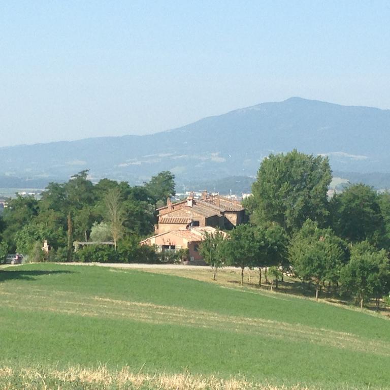 Le Palazze B&B Chiusi Exterior foto